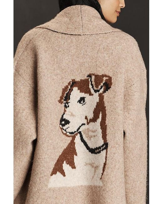 Dog sweater