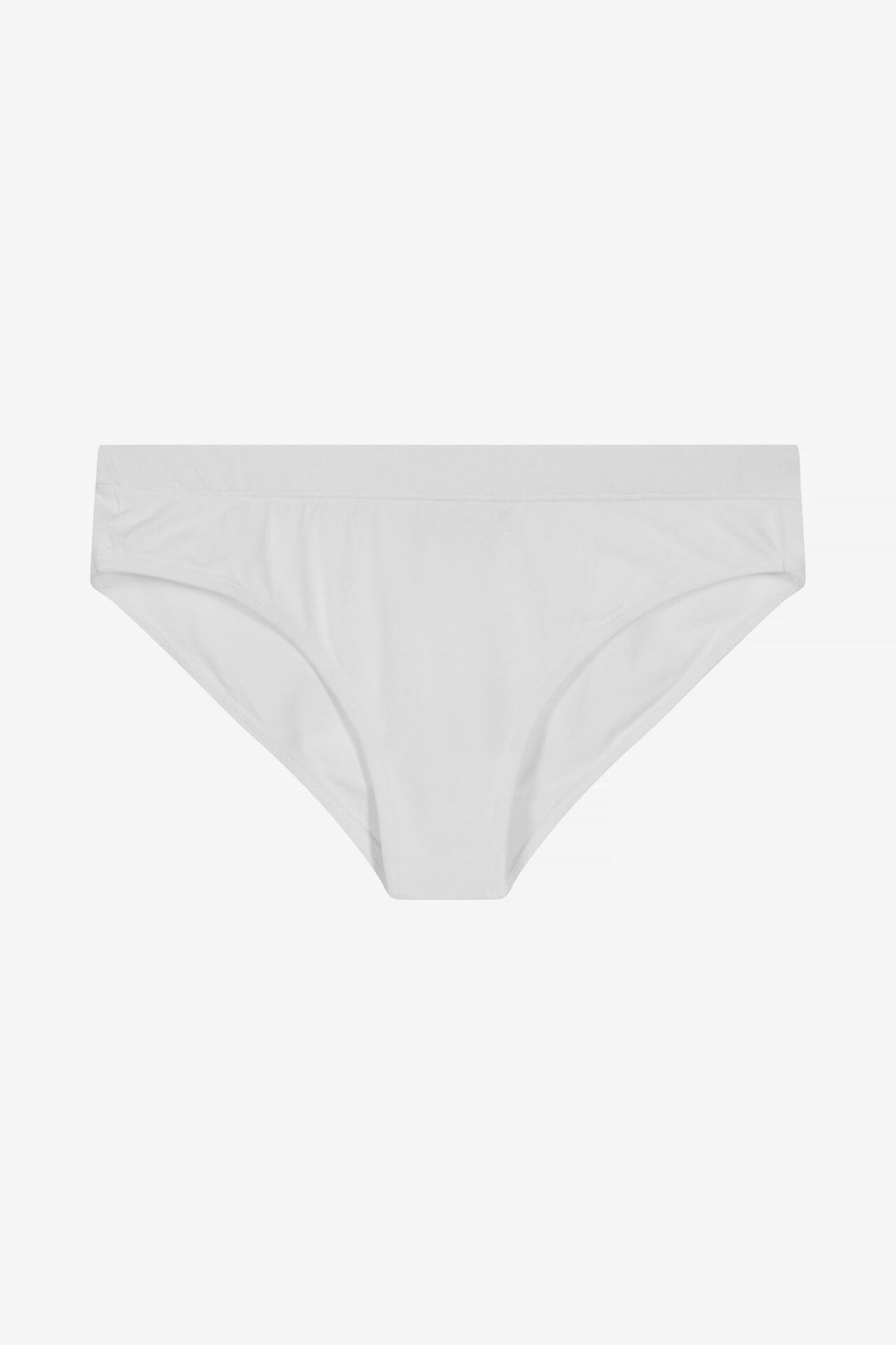 Brief