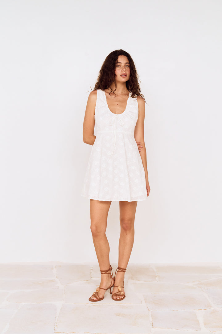 Anisa Embroidered Mini Dress