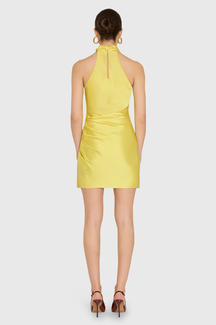 Chantel Dress