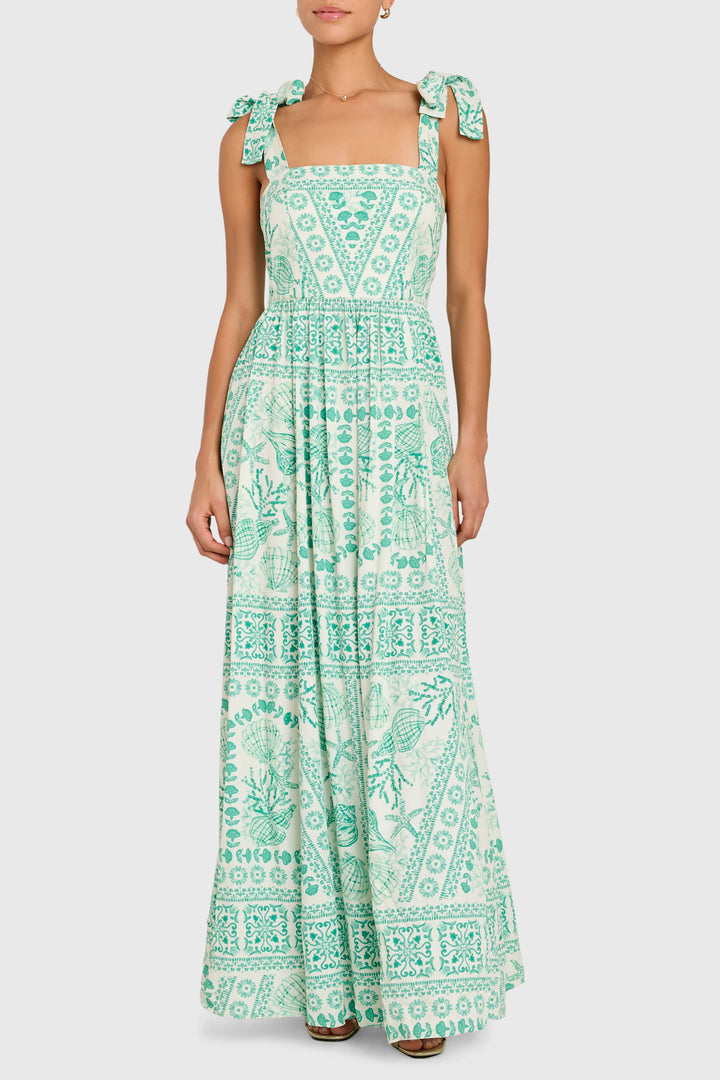Fredonia Maxi