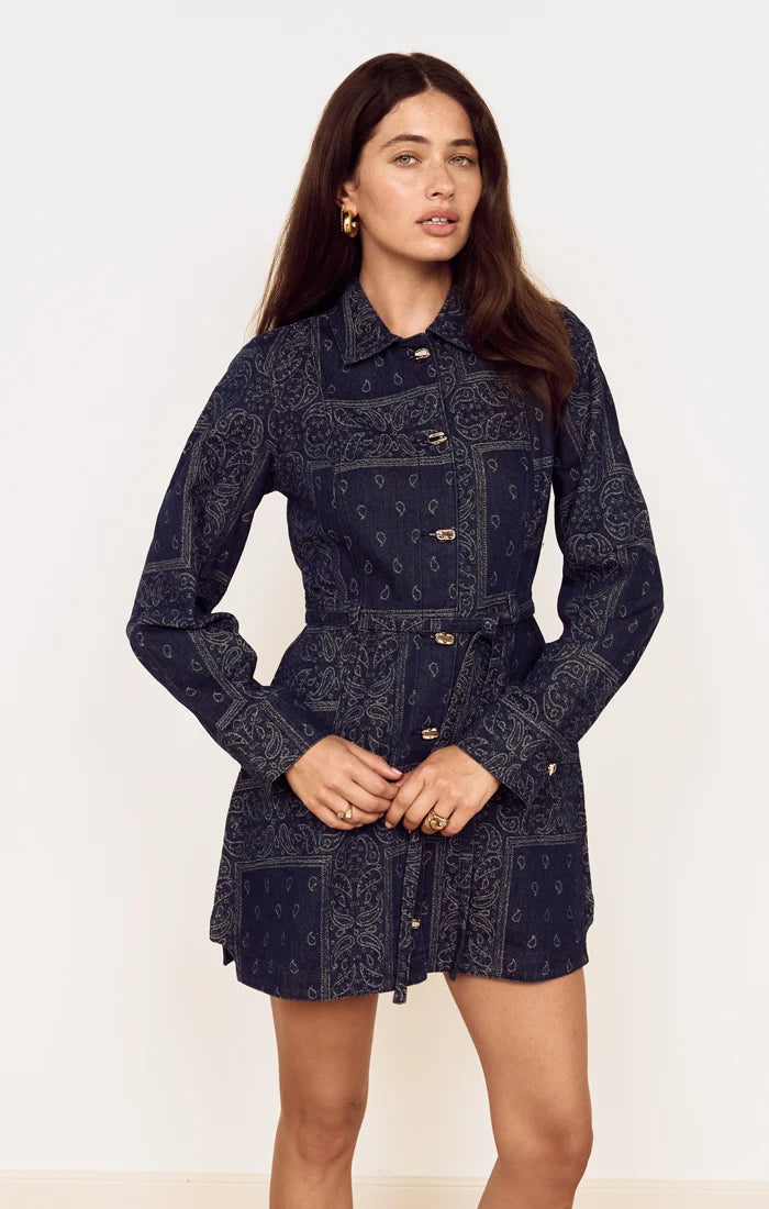 Delphi Jacquard Denim Dress