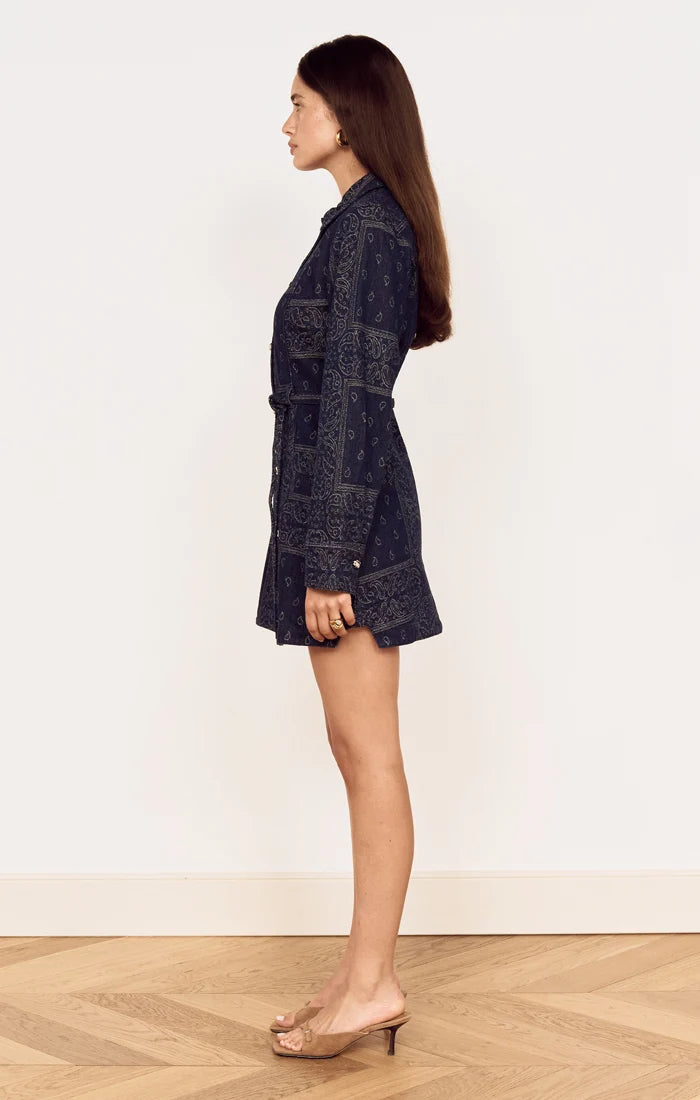 Delphi Jacquard Denim Dress