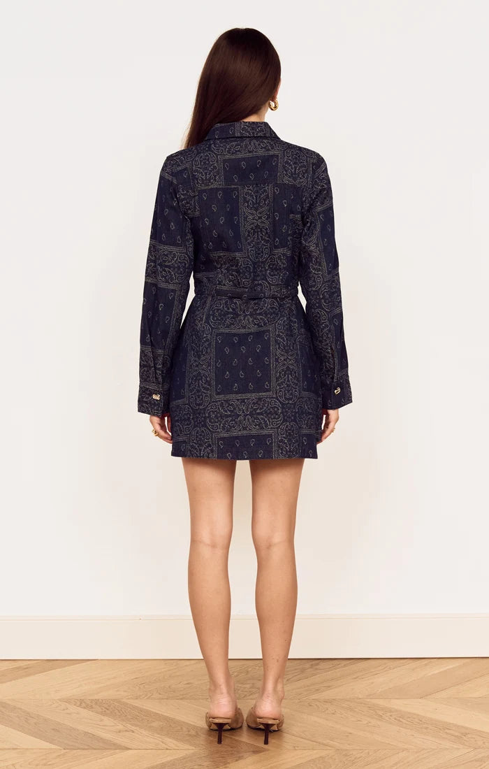 Delphi Jacquard Denim Dress