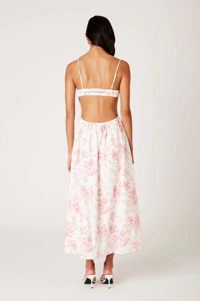 Destene Dress
