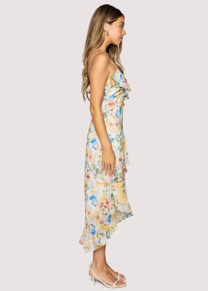 Garden Afterglow Maxi Dress