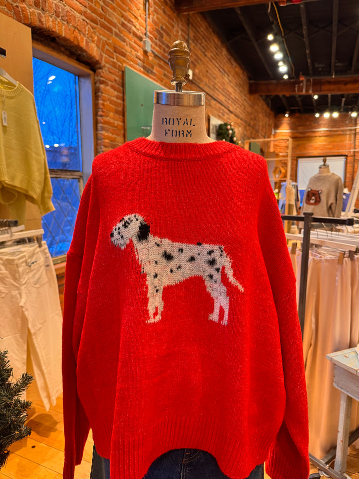 Dalmatian sweater