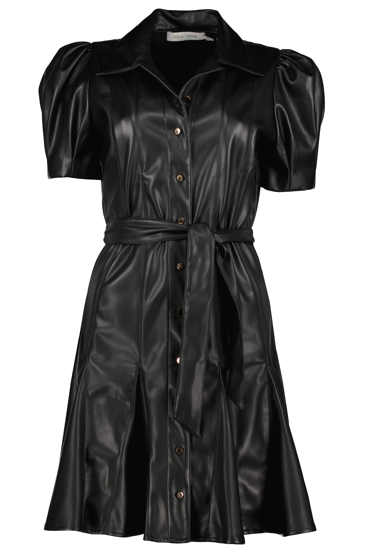 Clea Vegan Leather Dress