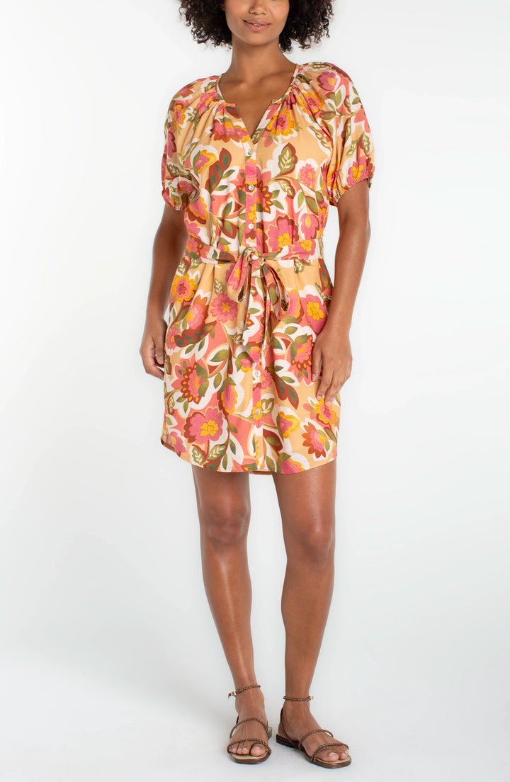 Shirred Button-Front Dress