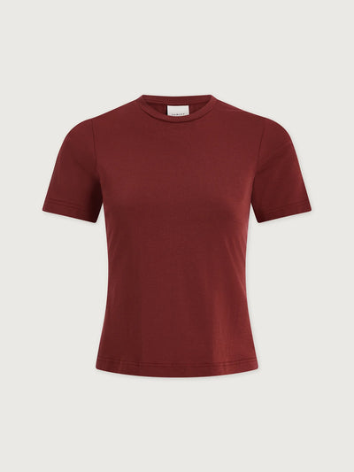 Regina Fitted Tee in New Maroon