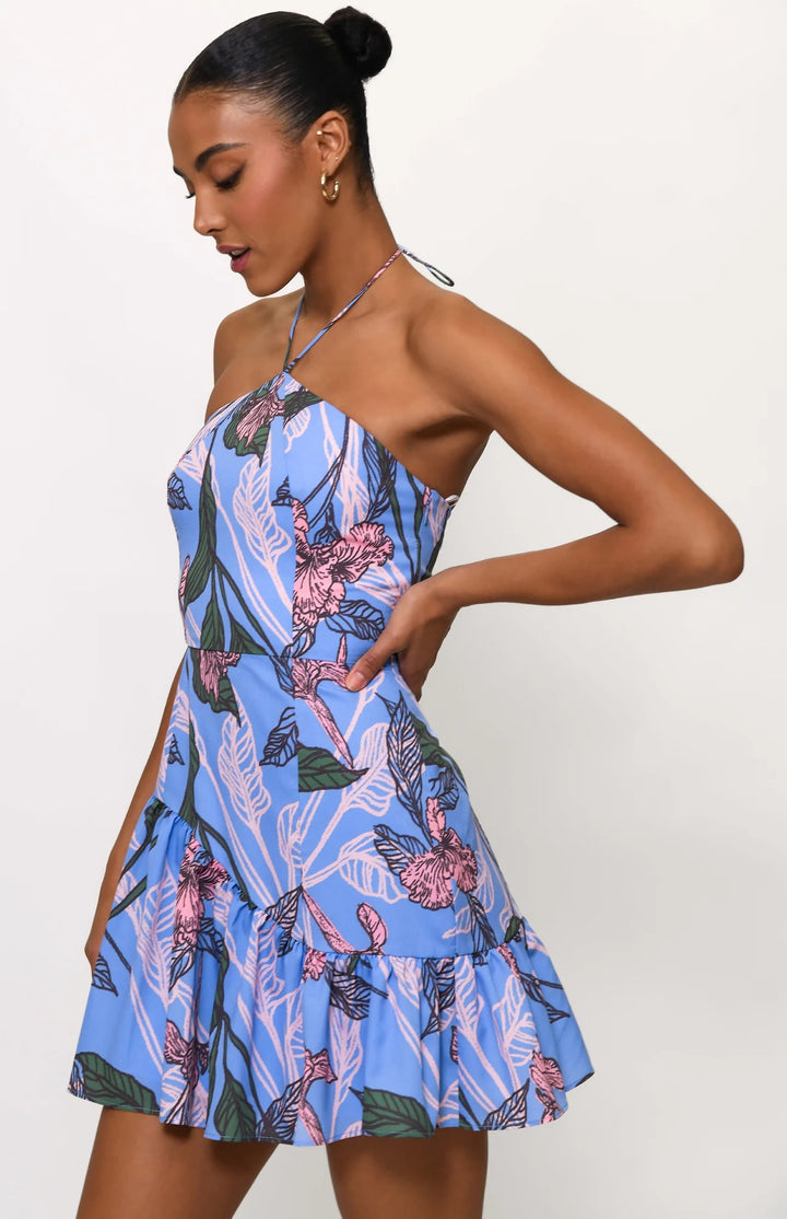 Renata Dress