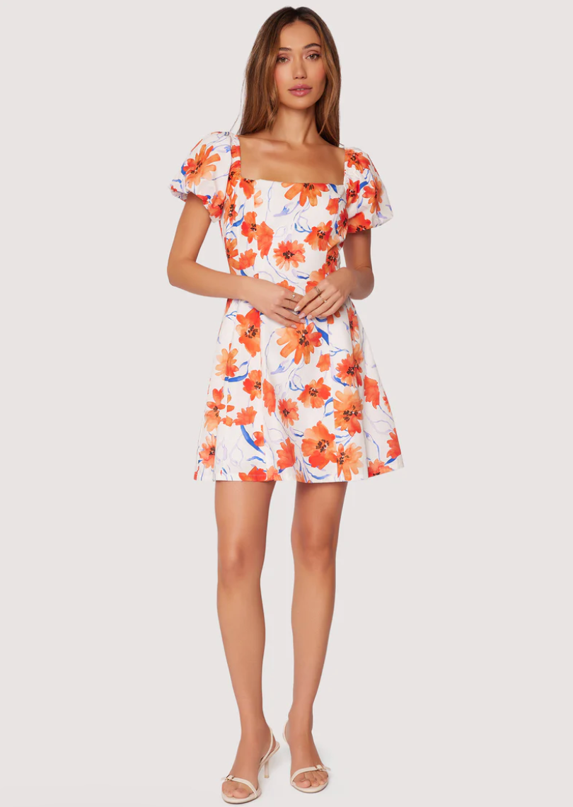 Poppy Blooms Mini Dress