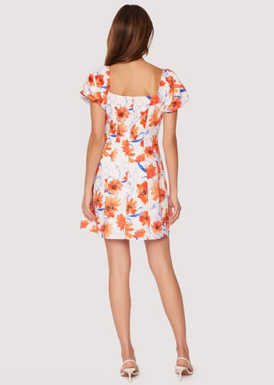 Poppy Blooms Mini Dress