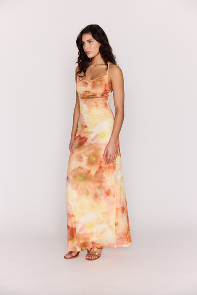 Aria Mesh Maxi Dress