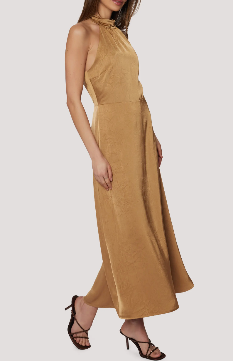 Starlit Canopy Maxi Dress