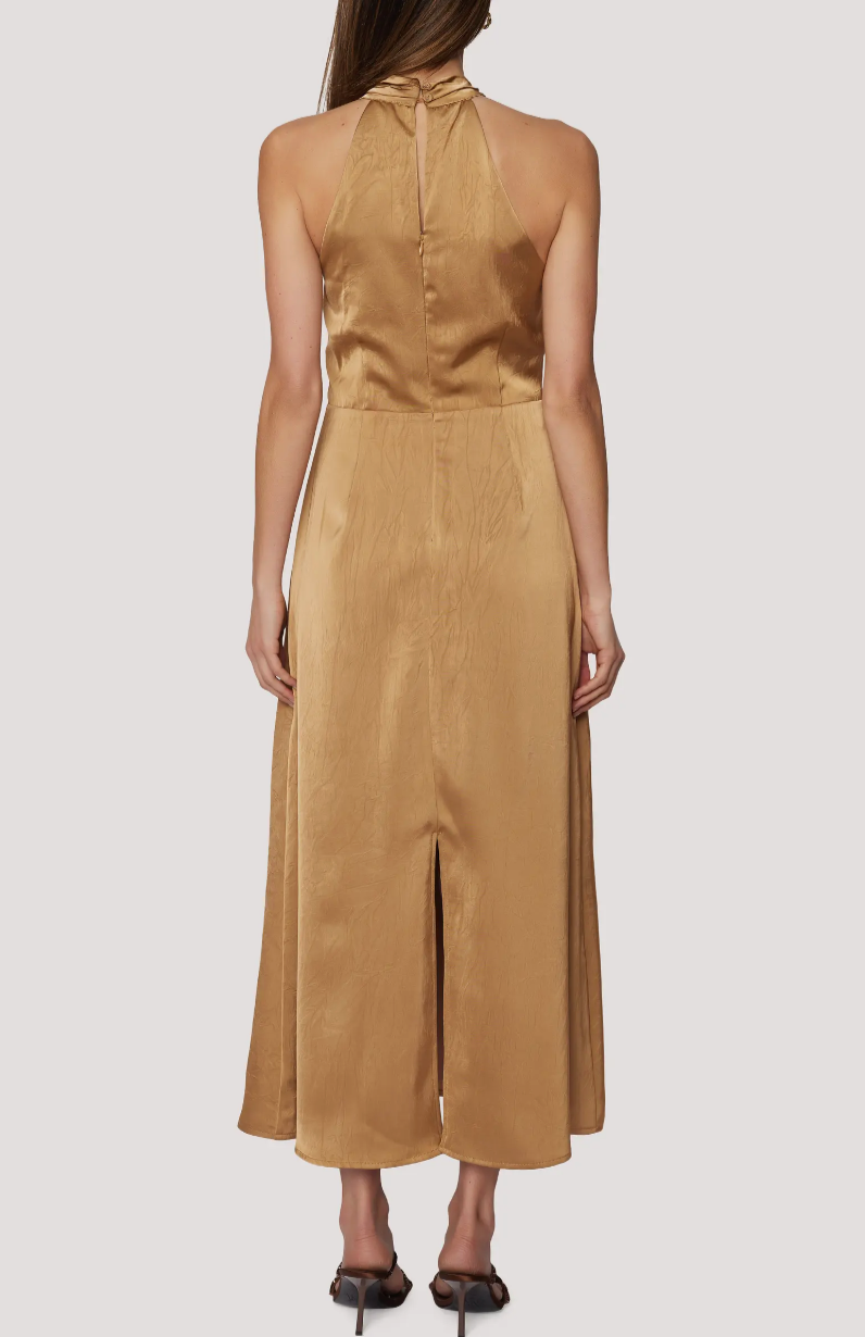 Starlit Canopy Maxi Dress