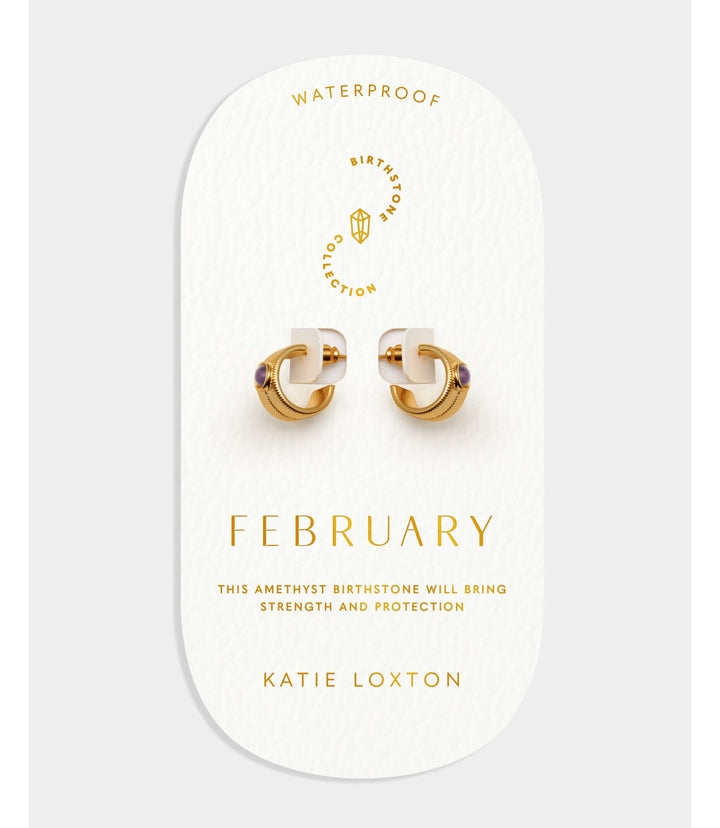 Birthstone Hoop Earrings - February