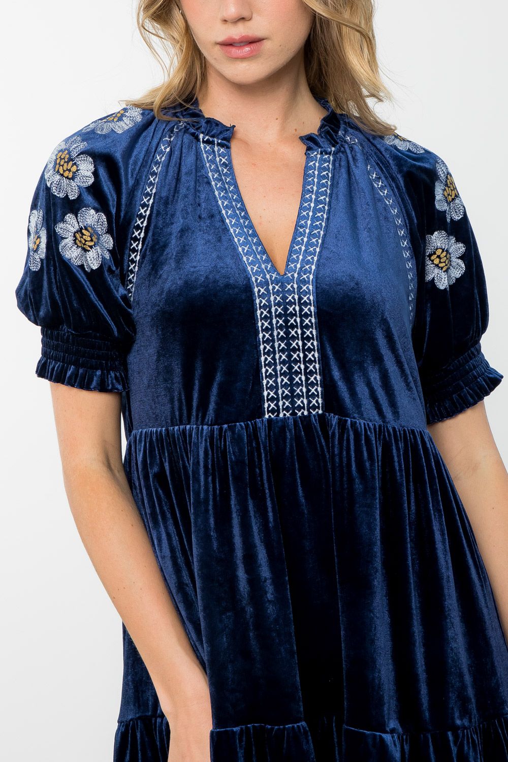 Embroidered Detail Sleeve Velvet Dress